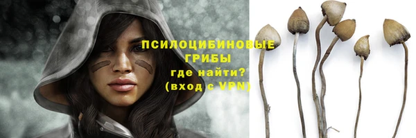 не бодяженный Осташков