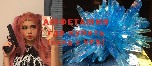 шишки Пестово