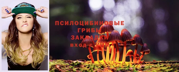 герыч Губаха