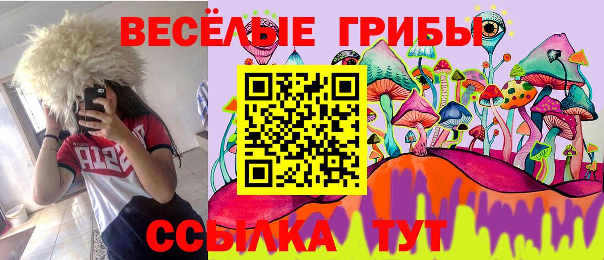Псилоцибиновые грибы MAGIC MUSHROOMS Мурманск